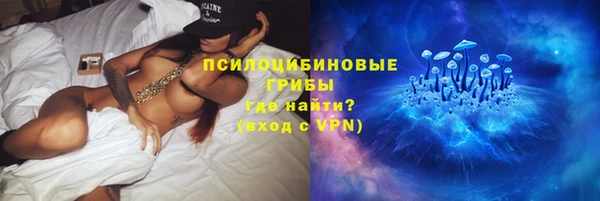 герыч Алексин